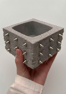 Колючее кашпо