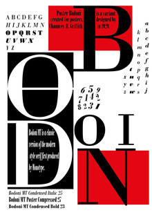 Bodoni Type (Либер Дарья)