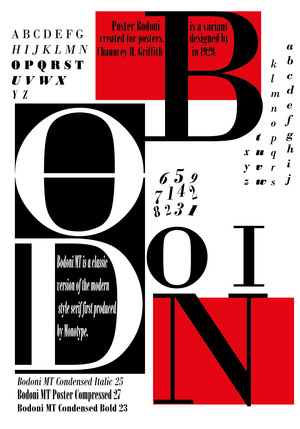 Bodoni Type (Либер Дарья) 