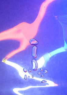 Как добыть шапку в зоомагазине