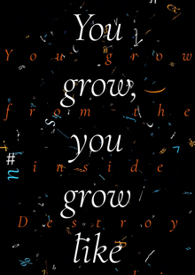 You grow like tornado You grow like tornado
