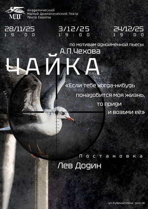 Афиши для "Академический Малый Драматический Театр -Театр Европы"