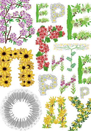 save nature (version without borders)
