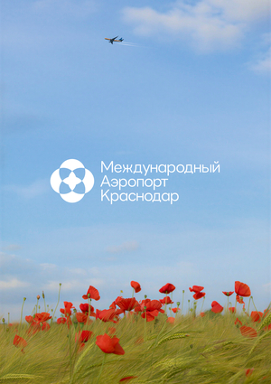 система визуальной коммуникации для аэропорта МАК | предзащита