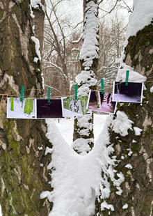 GreenVioletForest collection