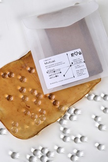 Mutual в&nbsp;рамках Конкурса прототипирования