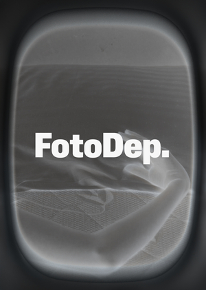 Ребрендинг FotoDepartament. Предзащита