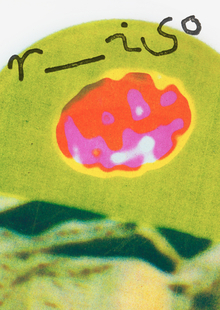 RISOISOCLUB
