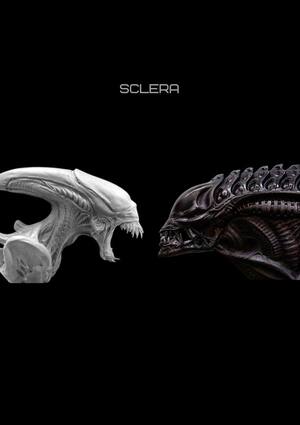 Лаборатория SCLERA