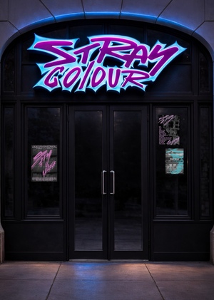 Stray colours, spray paint store
