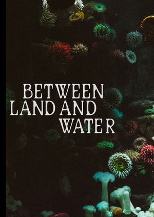 Between Land and Water. Выставка, посвященная Жаку Кусто