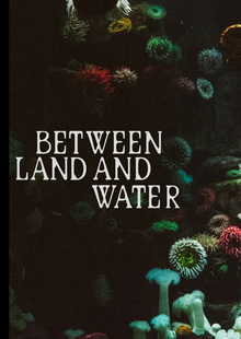 Between Land and Water. Выставка, посвященная Жаку Кусто Between Land and Water. Выставка, посвященная Жаку Кусто