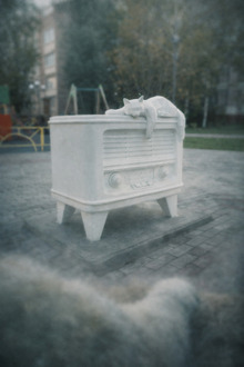 Удомля // Скульптура «Кот-меломан»