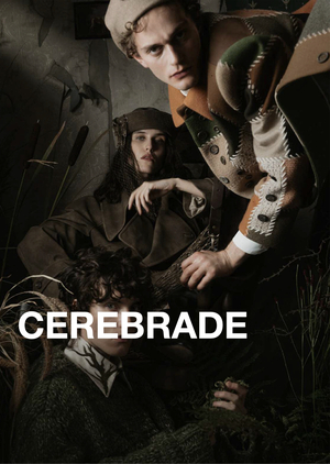 Cerebrade: профайл бренда