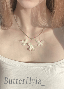 Butterflyia_