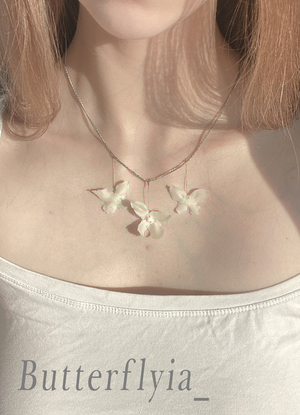 Butterflyia_