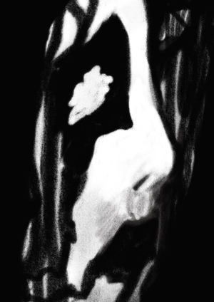 BlackMetal