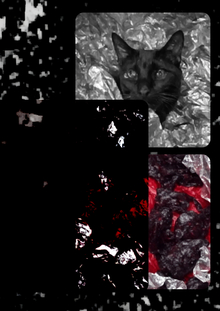 Обучение ИИ&nbsp;в&nbsp;Dark trash дизайн