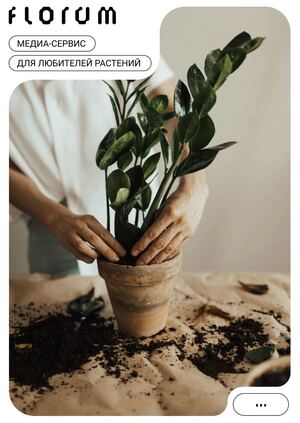 Айдентика «Florum»