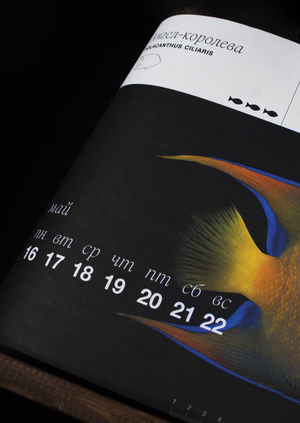Календарь Рыбы 2022