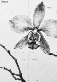 Petal skin Petal skin