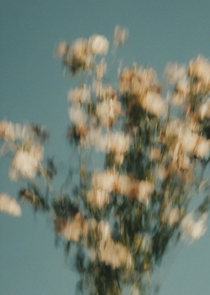 blurred world