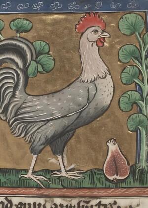 Medieval Birds. Обучение нейросети