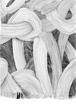 Лес до небес