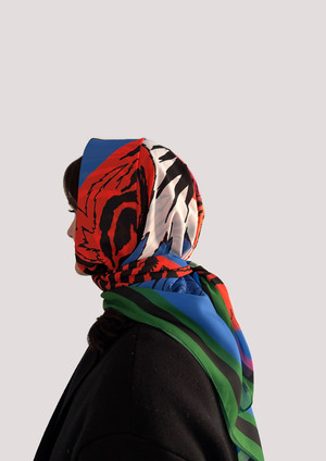 Тигр и Дракон. Внутренняя империя 