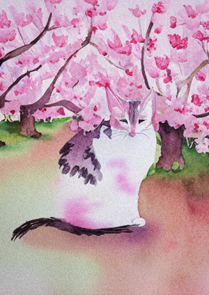 A cat in different worlds