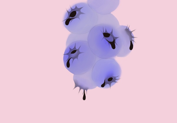 цветоморфозы