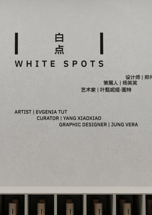 Визуализация пространства выставки – White Spots