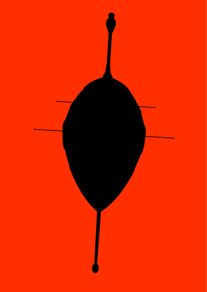 reeliq