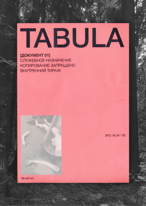 Tabula: протокол среды