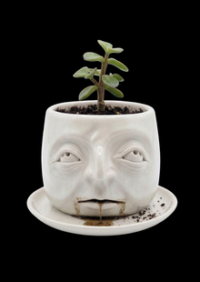 Sentient Pots