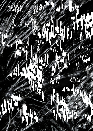 DIGITAL FRACTURE — DIGITALISM 