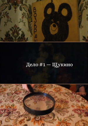 Щукино, дело №1 | Интервью с экспертами