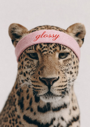 Glossy | Отчет по специализациям