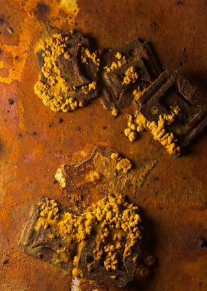 "На марсе классно" 