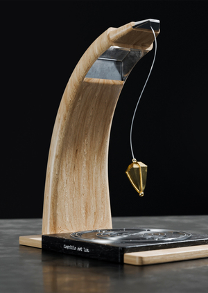 FOCUS PENDULUM