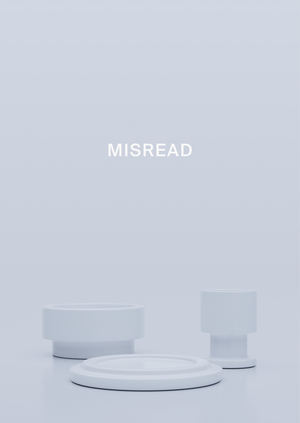 Misread. Серия керамических объектов
