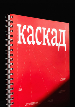 Пространство и методики обучения школы падений с коня «КАСКАД»