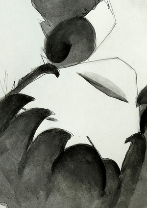 Mono