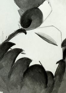Mono