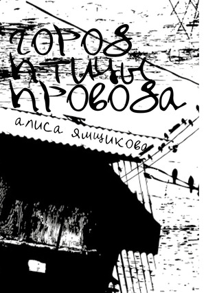 Город. Птицы. Провода.
