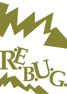 Книга отзывов и&nbsp;предложений RE.BUG