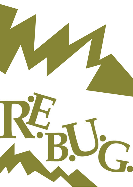 Книга отзывов и предложений RE.BUG