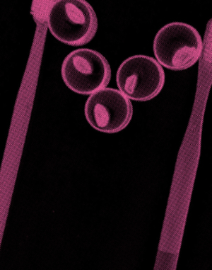 i'm afraid of the new