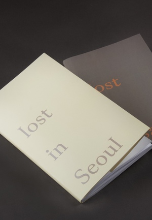 lost in Seoul