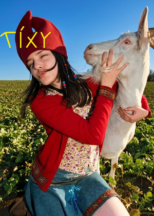 Tixy